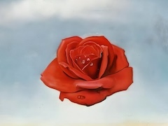 Meditative Rose by Salvador Dali
